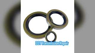 D31 17 18 Transmission Seal Kit Corrosion Resistant