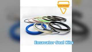 Hyundai R225-5 Excavator Seal Kits